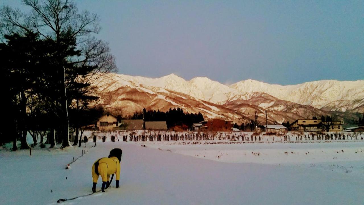Little Alaskan Guest House Hakuba Exterior foto